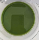 溶解性海藻肥料による植物成長の最大化 EINECS No. 700-983-2